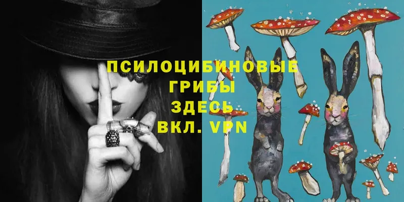 OMG онион  Невинномысск  Галлюциногенные грибы Magic Shrooms 